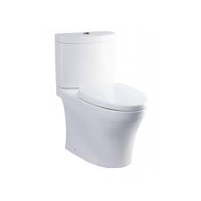 Thiết Bị Vệ Sinh Cao Tiến Nguyễn - Thiết Bị Vệ Sinh Chính Hãng