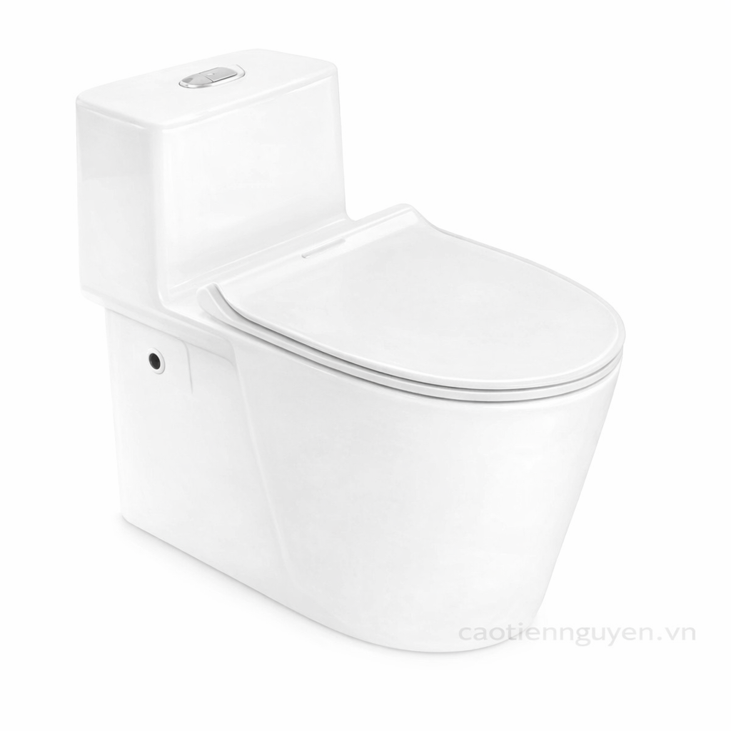 Thiết Bị Vệ Sinh Cao Tiến Nguyễn - Thiết Bị Vệ Sinh Chính Hãng